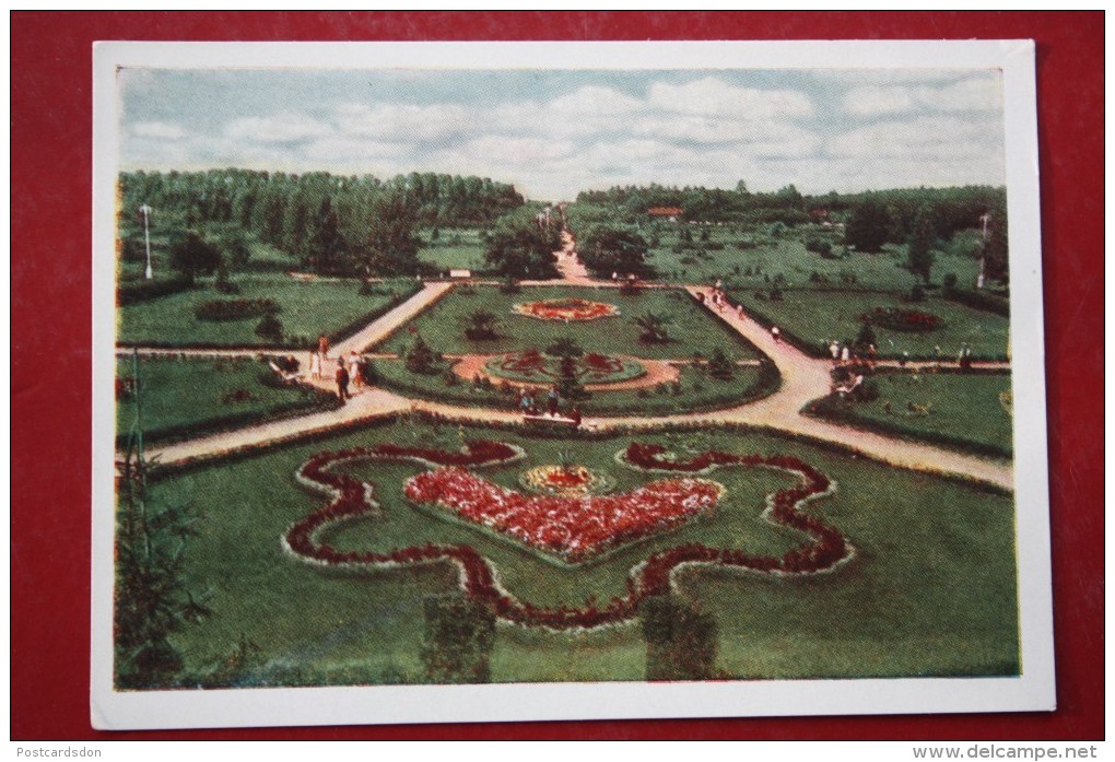 BELARUS. MINSK. Botanical Garden. OLD USSR PC . 1959 - Belarus