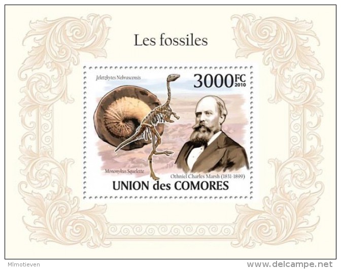 MTDR-BK2-324 MINT ¤ COMORES 2010 BLOCK ¤ DINOSAURS - PREHISTORICS - PRÉHISTORIQUES - DINO´S - PREHISTORIE - Preistorici