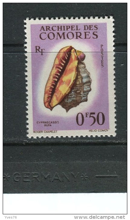 COMORES - Y&T N° 19** - Coquillage - Cypraecassis Rufa - Unused Stamps