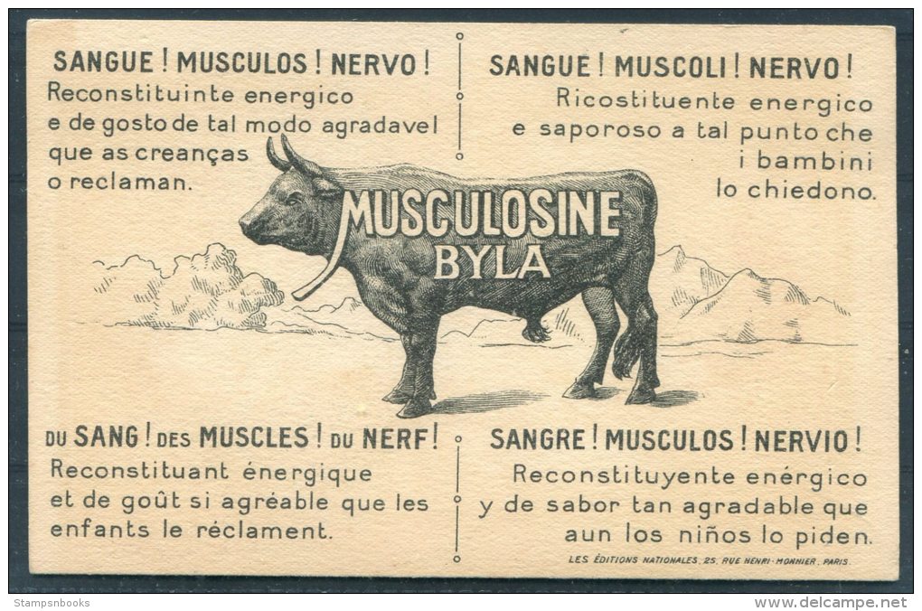 Musculosine Byla Beef Cow Albinet Sweden National Costume Advertising Postcard - Advertising