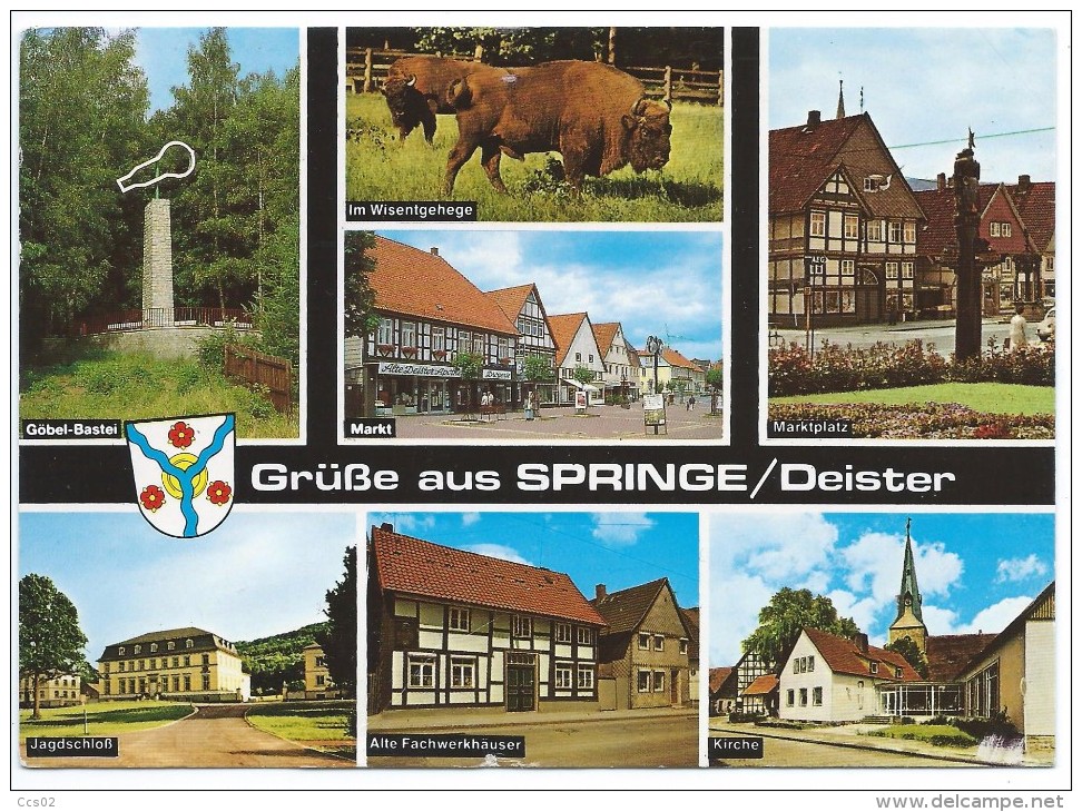 Grüsse Aus Springe Deister - Springe