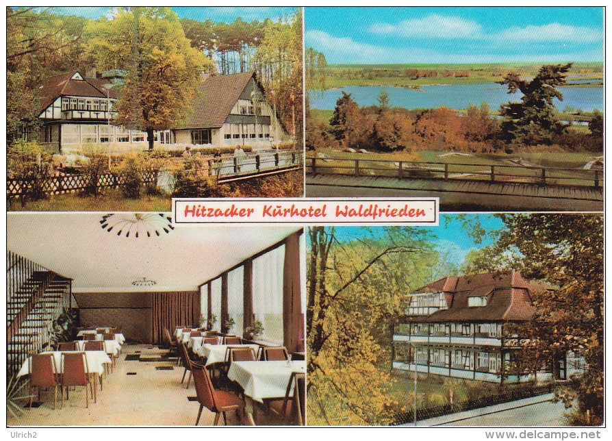 AK Hitzacker - Kurhotel Waldfrieden - Mehrbildkarte (18566) - Hitzacker