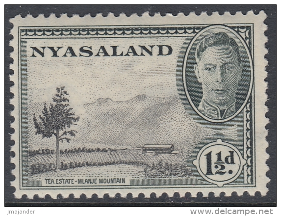 Nyasaland 1945 KGVI Definitive: Tea Estate. Mi 72 MH - Nyassaland (1907-1953)