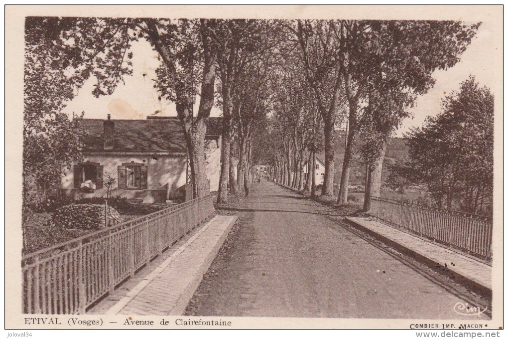 Vosges - ETIVAL  - Avenue De Clairefontaine - Non écrite - Etival Clairefontaine