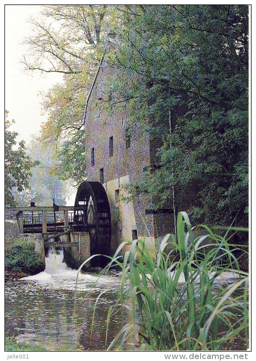 Overpelt Bemvaartse Molen - Overpelt