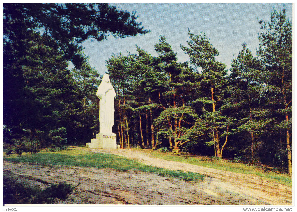 Zutendaal Hesselsberg - Zonhoven