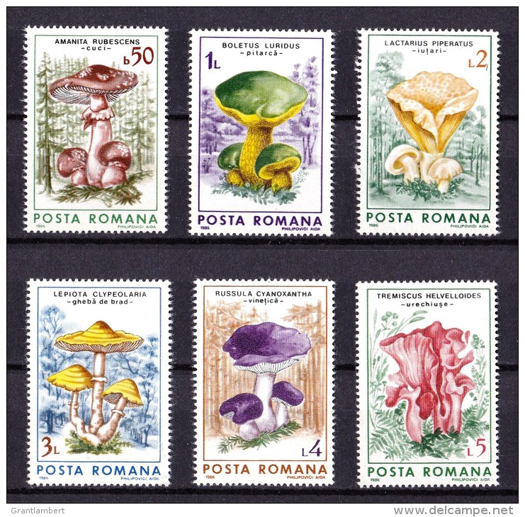 Romania 1986 Mushrooms Fungi Set Of 6 MNH - Unused Stamps