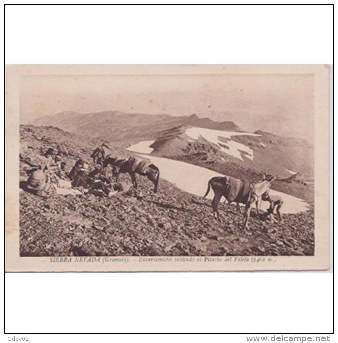 GNDTP6545-LFTD6334.Tarjeta Postal DE GRANADA.Campo,nieve.EXCURSION EN BURRO AL MONTE VELETA En SIERRA NEVADA - Burros