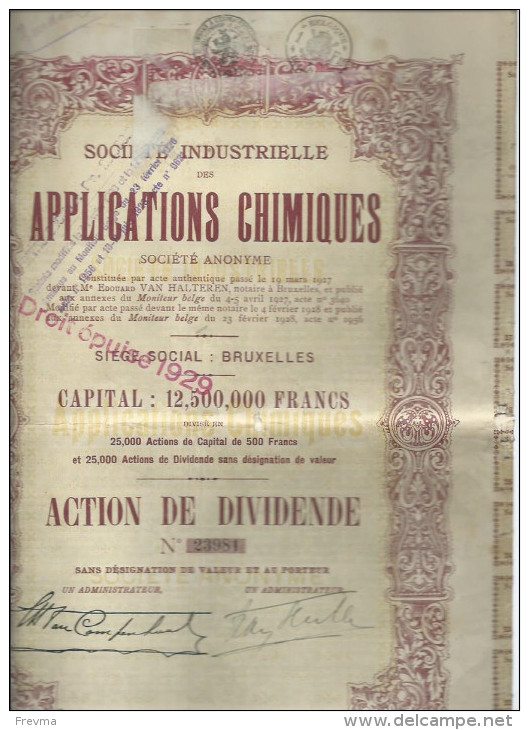 Action Societe Industrielle Applications Chimique Capital 12,500,000 De Francs - A - C