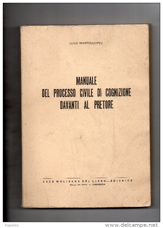 MANUALE DEL PROCESSO CIVILE DI COGNIZIONE DAVANTI AL PRETORE - Rechten En Economie