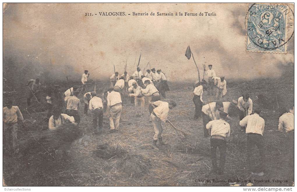 Valognes     50    Batterie De Sarrasin A La Ferme De Turin - Valognes