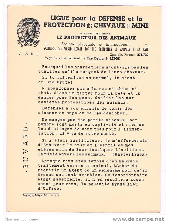 Buvard Ancien, Ligue Pour La Défense Et La Protection Des Chevaux De Mine / Protecteur Des Animaux - 2 Scans - Autres & Non Classés