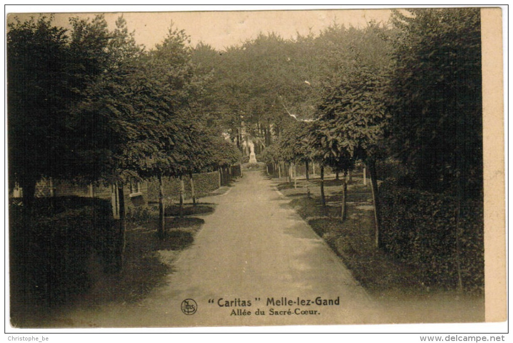 Melle Lez Gand, Caritas, Allée Du Sacré Coeur (pk24427) - Melle