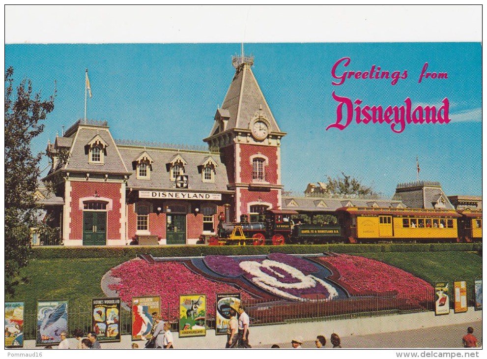 CPSM Greetings From Disneyland - Disneyland