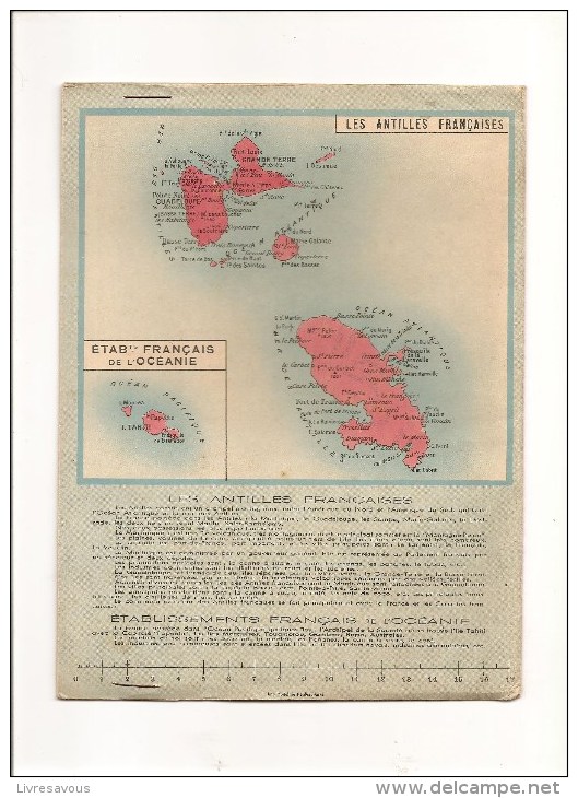 Protège Cahier Chicorée Mogta-Williot La Récolte Des Noix De Coco à TAHITI Des Années 1960 Environ - Protège-cahiers