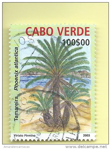 TIMBRES - STAMPS - CAPE VERDE / CAP VERT - 2004 - ARBRES INDIGÈNES - Phoenix Atlantica - TIMBRE OBLITÉRÉ CLÔTURE DE SERI - Cap Vert