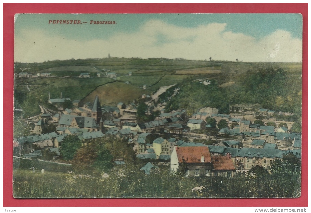 Pepinster - Superbe Panorama Couleur De La ... Commune ( Voir Verso ) - Pepinster