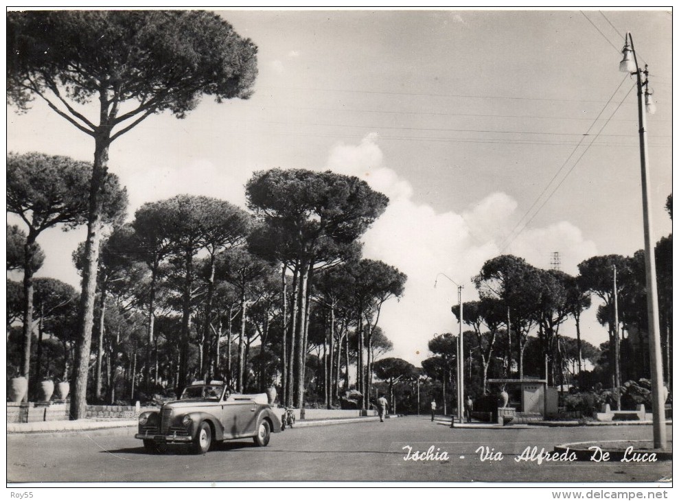 Campania-napoli-ischia Via Alfredo De Luca Bella Animata Anni 50 - Altri & Non Classificati