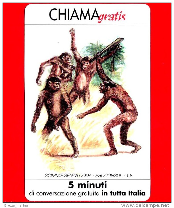 Nuova - Italia - Scheda - CHIAMAGRATIS - 326 - Evoluzione Della Specie Umana 1/8 - Scimmie Senza Coda - In Tiratura - Schede GSM, Prepagate & Ricariche