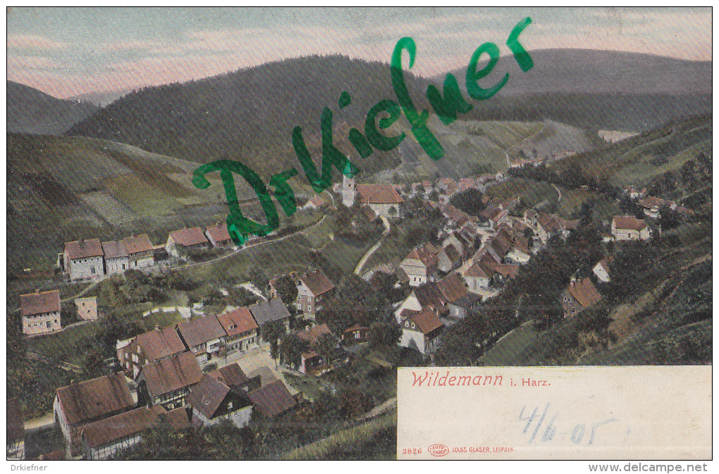 Wildemann I. Harz, Um 1903 - Clausthal-Zellerfeld