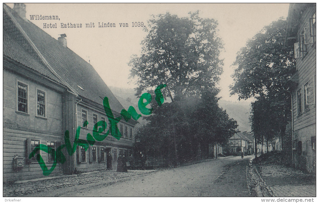 Wildemann I. Harz, Hotel Rathaus Mit Linden, Um 1906 - Clausthal-Zellerfeld