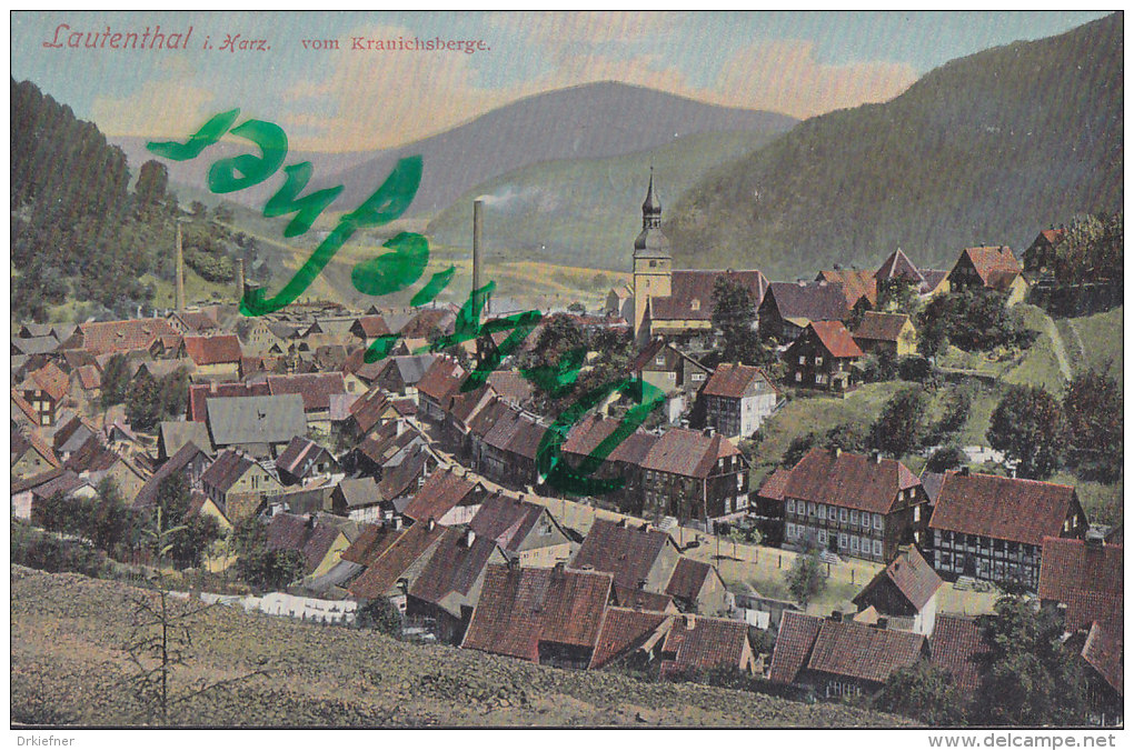 Lautenthal Im Harz, Vom Kranichsberge, Um 1906 - Clausthal-Zellerfeld