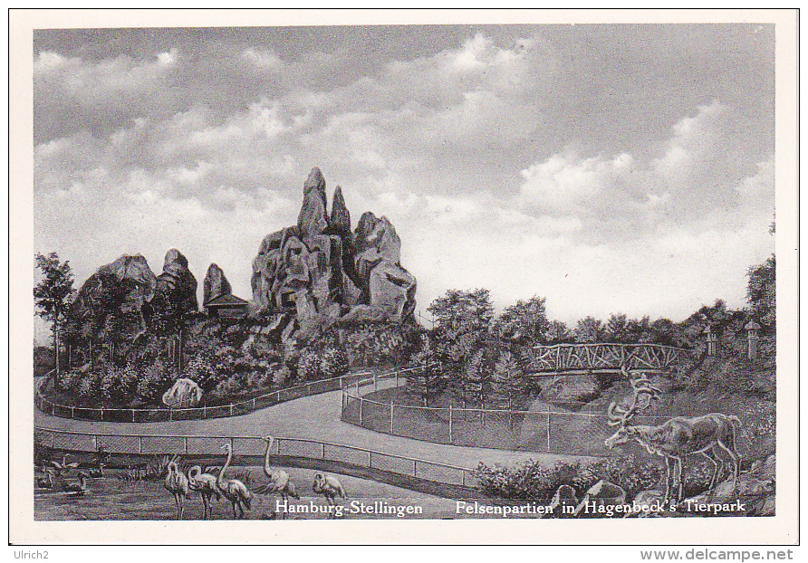 AK Hamburg - Stellingen - Felsenpartie In Hagenbeck's Tierpark  (18676) - Stellingen