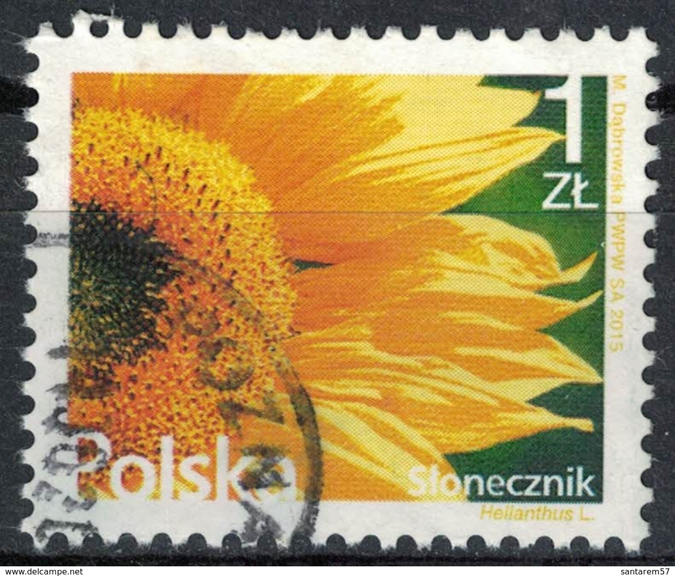 Pologne 2015 Oblitéré Rond Used Flowers Fleurs Sunflower Tournesol - Gebraucht