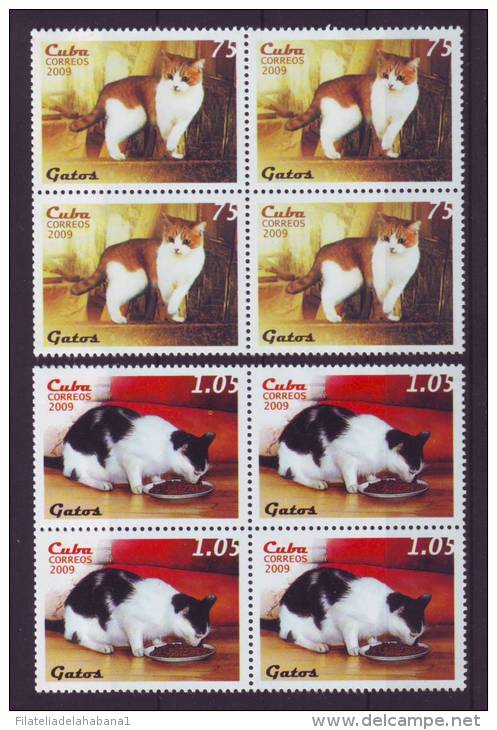 2009.16 CUBA 2009 COMPLETE SET BLOCK 4 MNH 2009 CAT FELINE. GATOS. FELINOS. - Unused Stamps