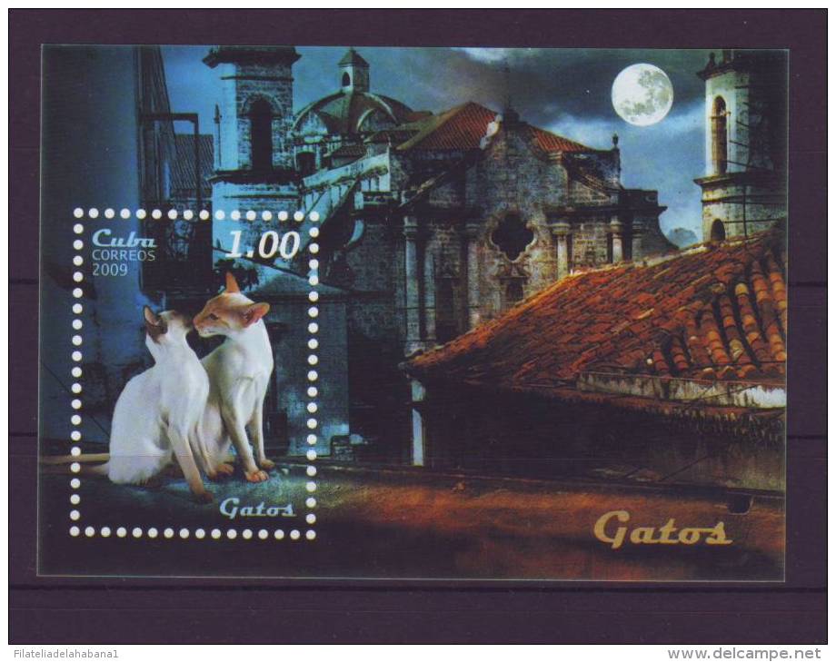 2009.16 CUBA 2009 COMPLETE SET BLOCK 4 MNH 2009 CAT FELINE. GATOS. FELINOS. - Unused Stamps