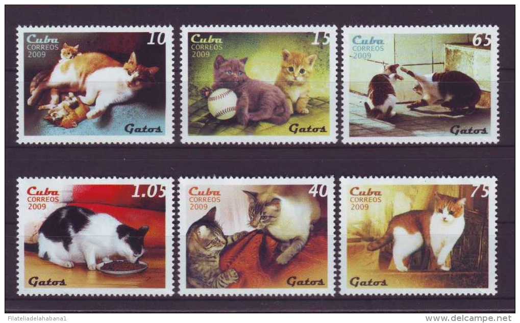 2009.15 CUBA 2009 COMPLETE SET MNH CAT FELINE. GATOS. - Unused Stamps
