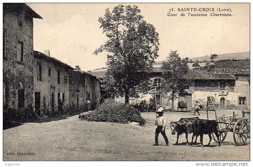 SAINTE CROIX EN JAREZ  Cour De L'ancienne Chartreuse - Sonstige & Ohne Zuordnung