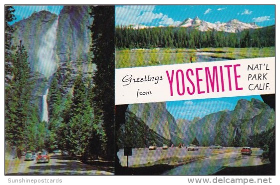 Greetings From Yosemite National Park California - Yosemite