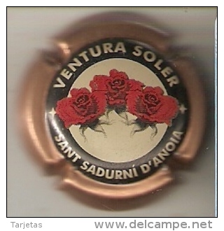 PLACA DE CAVA VENTURA SOLER  (CAPSULE) FLORES-FLOR-FLOWER Viader:3115 - Mousseux