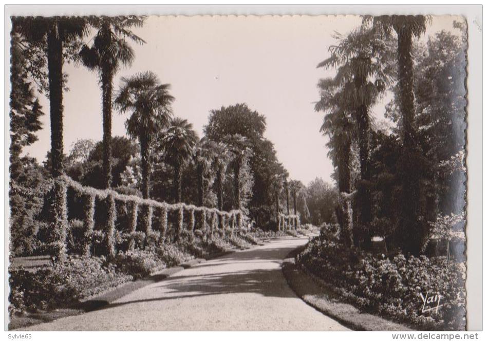 TARBES-Jardin Massey-Une Allée- - Tarbes