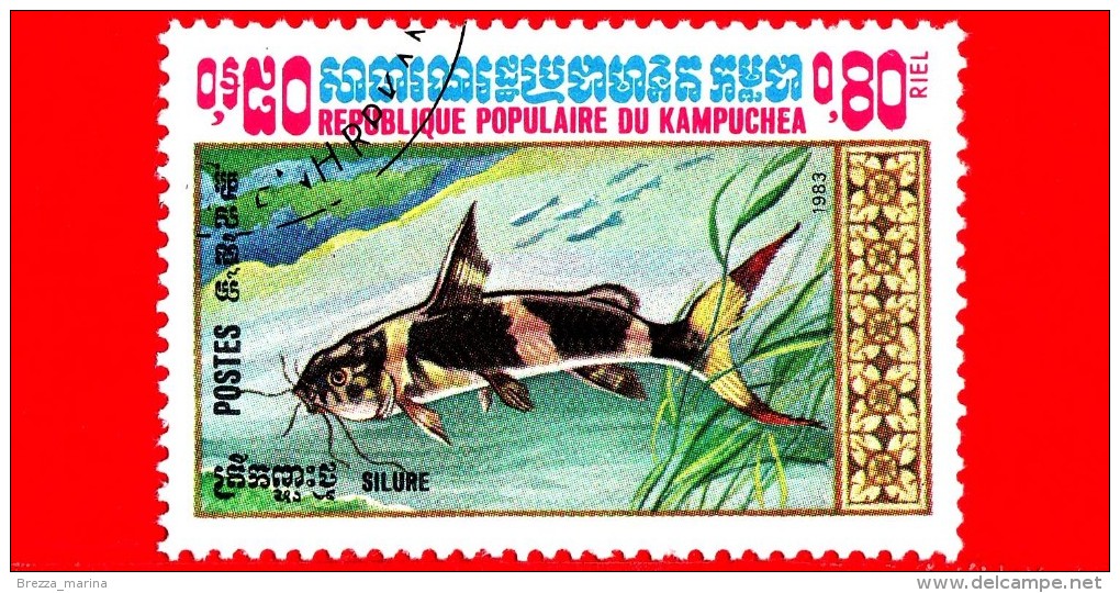 KAMPUCHEA - Cambogia - Nuovo Oblit.- 1983 - Pesci - Silure - 0.80 - Kampuchea