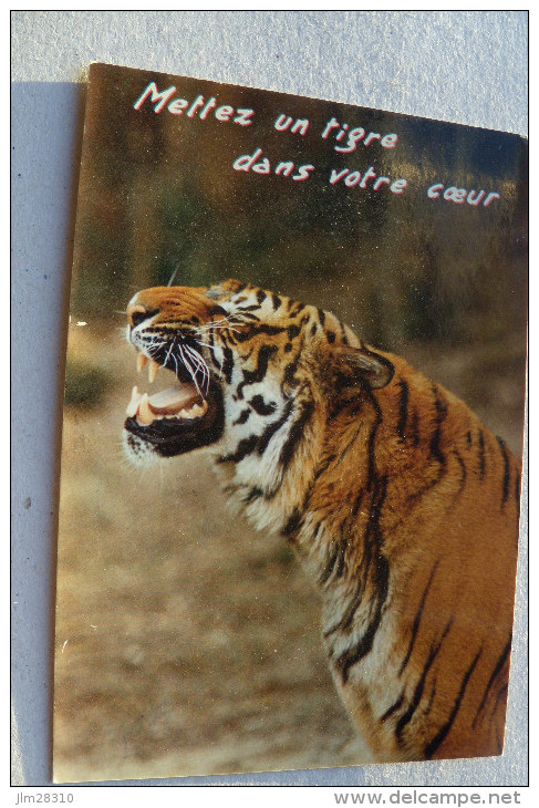 Mettez Un Tigre Dans Votre Coeur - Tijgers