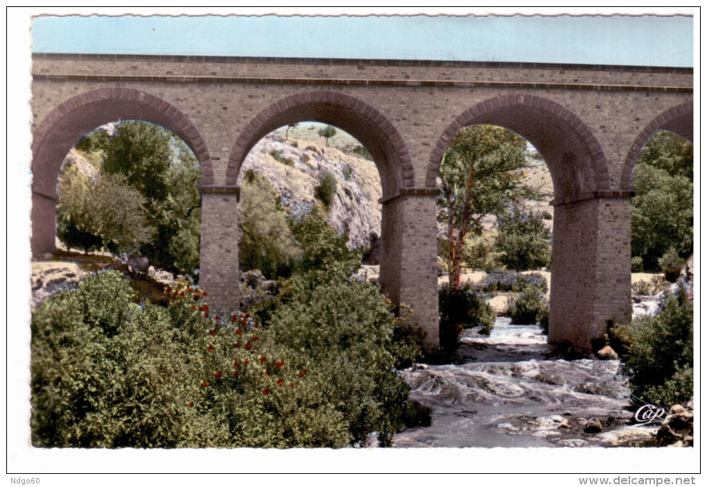 Saîda - Les Gorges Du Vieux Saîda - Saïda