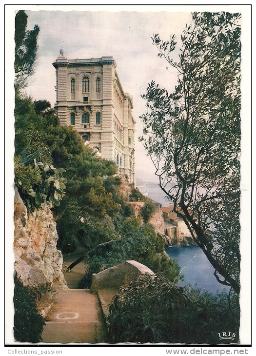 Cp, Monaco, Le Musée Océanographique, Voyagée 1962 - Museo Oceanografico