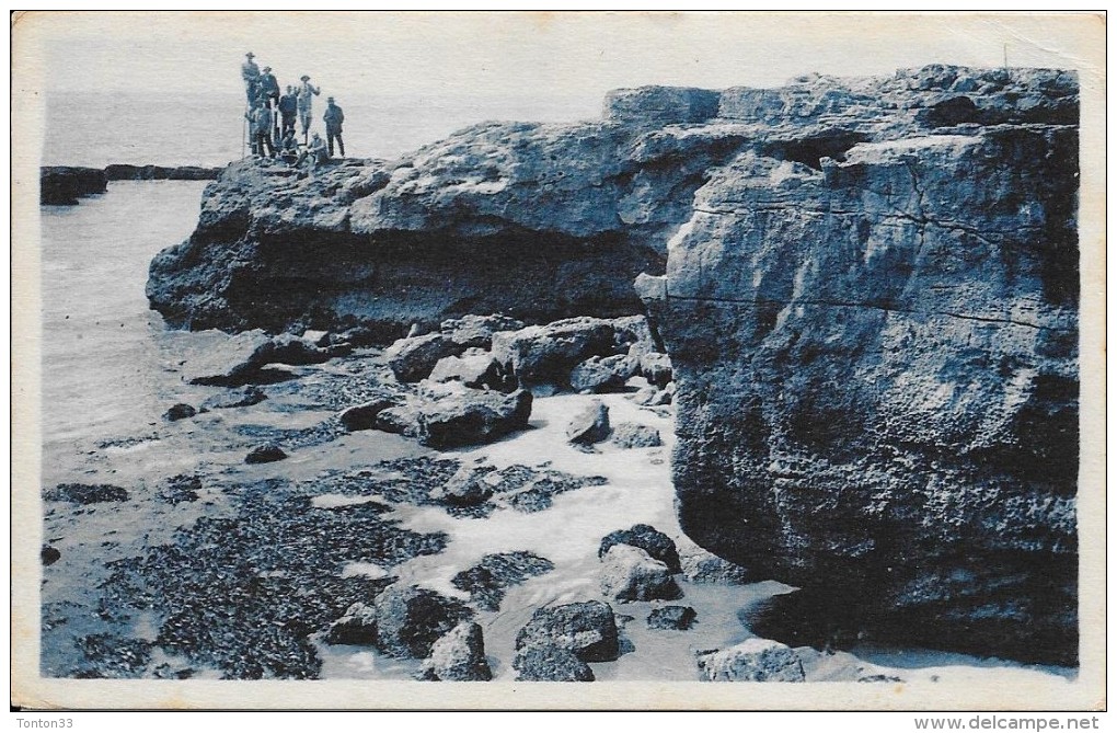 LE BUREAU SAINT PALAIS - 17 - Les Grands Rochers Des Pierrières - 750 - - Royan