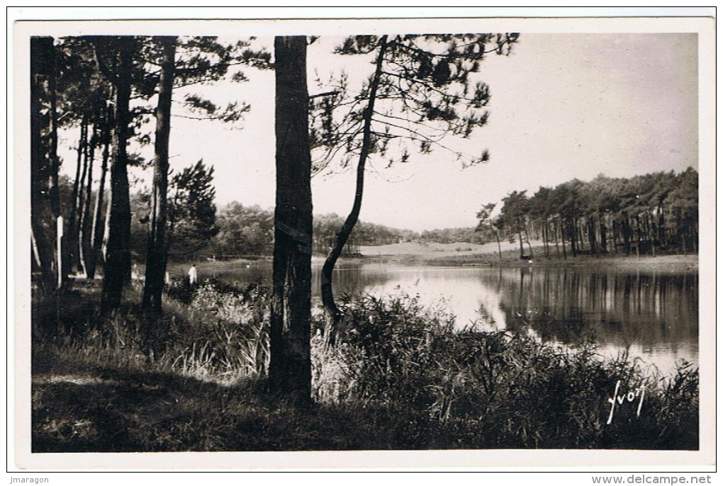 ANGLET - Le Lac De Chiberta - Yvon 1338 - Non Circulée  - Promeneur Au Bord Du Lac - Tbe - Anglet