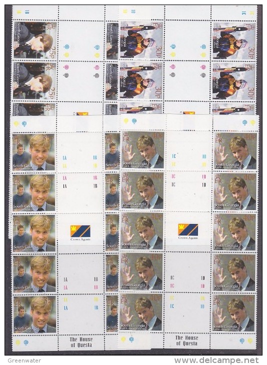 South Georgia 2000 18th Birthday Prince William 4v  Strip 5x Gutter (unfolded) ** Mnh (25347) - South Georgia