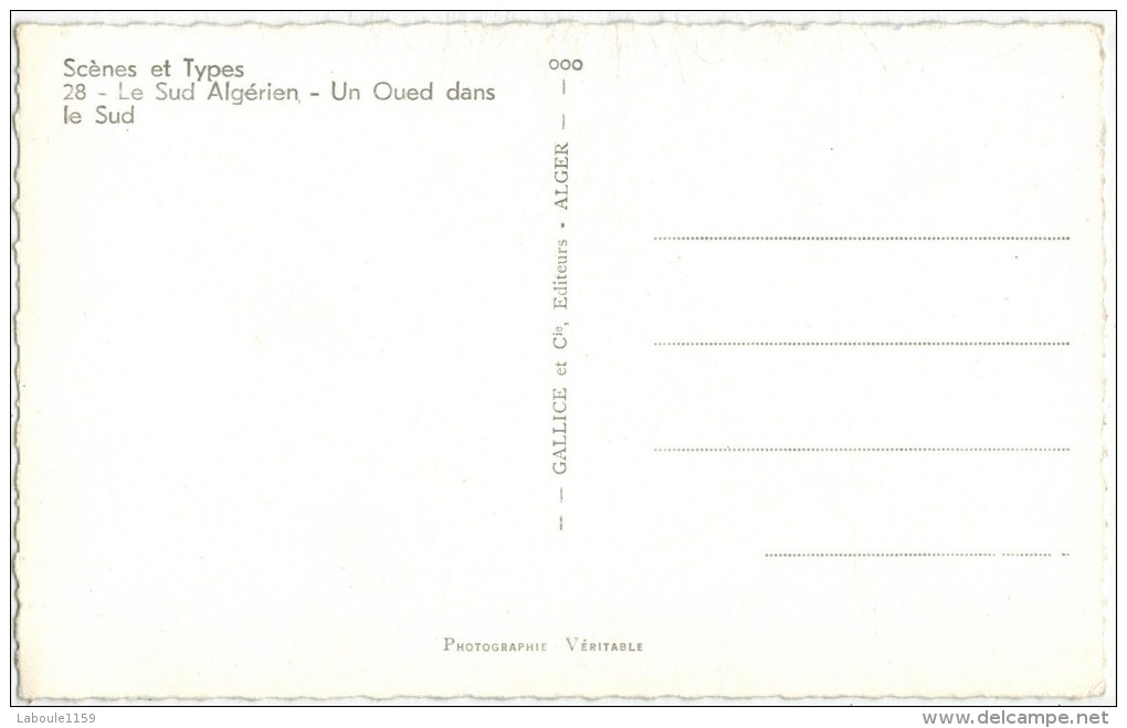 AFRIQUE DU NORD ALGERIE LE SUD ALGERIEN : Un Oued Dans Le Sud Algérien Chameaux Et Chameliers - Scènes & Types