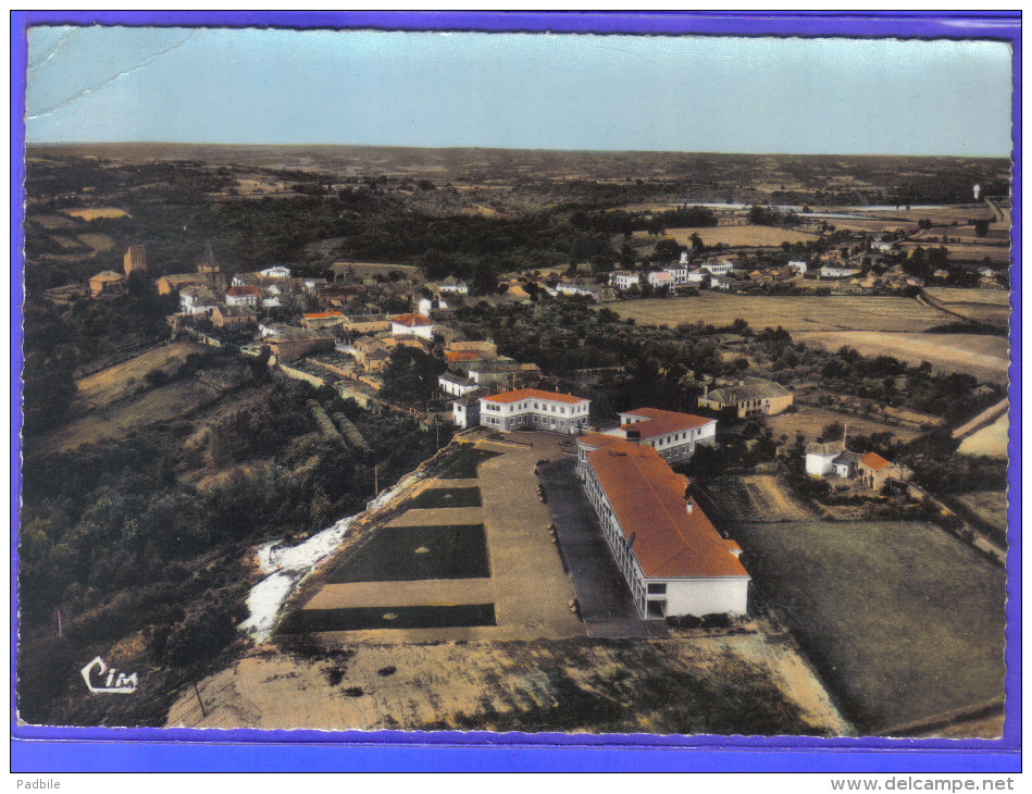 Carte Postale 65. Castelnau-Rivière-Basse  Vue D´avion   Trés Beau Plan - Castelnau Riviere Basse