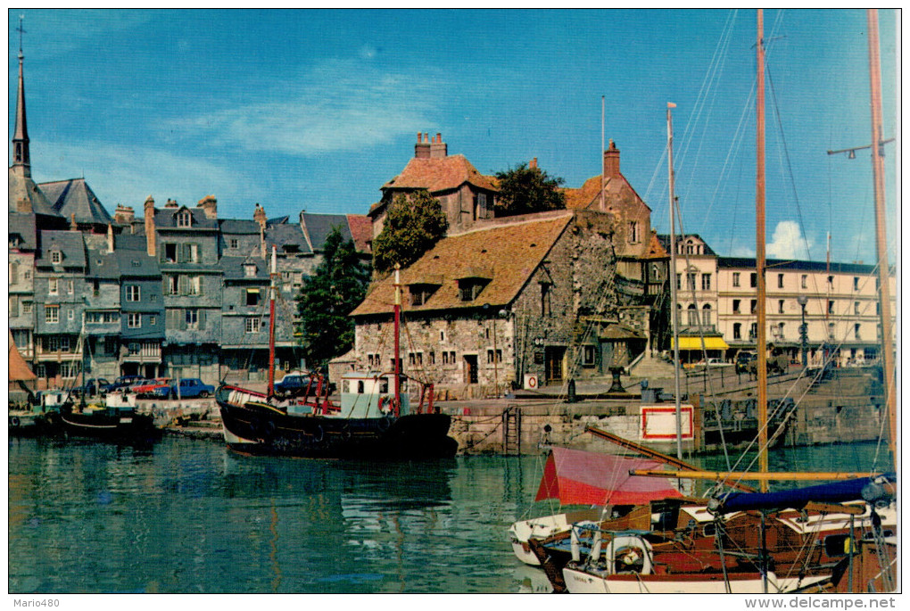 HONFLEUR    LA  LIEUTENANCE  ET LE VIEUX BASSIN       (NUOVA) - Honfleur