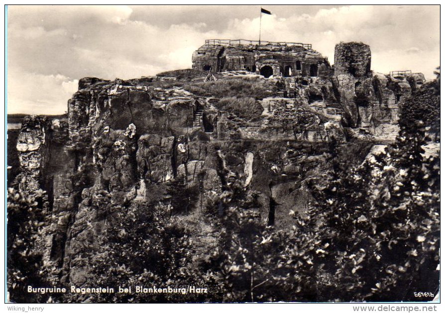 Blankenburg Harz - S/w Burgruine Regenstein 5 - Blankenburg