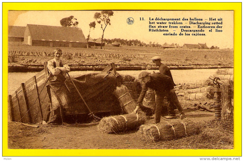 CULTURE  DU LIN DECHARGEMENT BALLONS VLASTEELT ROTEN KORTRIJK WEVELGEM HARELBEKE LYS LEIE Vlas Flax Paysan Boer 4069 - Kortrijk