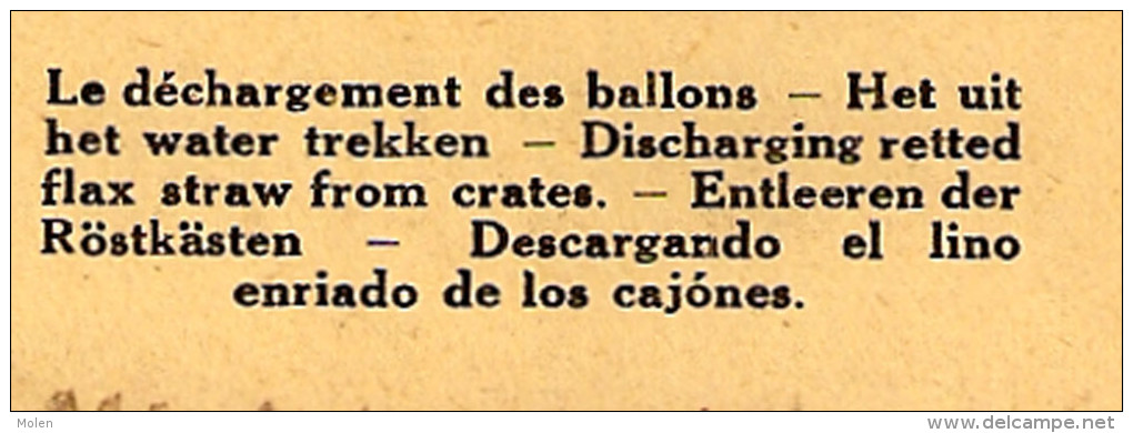 CULTURE  DU LIN DECHARGEMENT BALLONS VLASTEELT ROTEN KORTRIJK WEVELGEM HARELBEKE LYS LEIE Vlas Flax Paysan Boer 4069 - Kortrijk