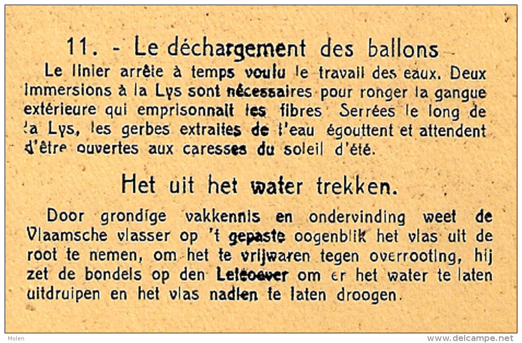 CULTURE  DU LIN DECHARGEMENT BALLONS VLASTEELT ROTEN KORTRIJK WEVELGEM HARELBEKE LYS LEIE Vlas Flax Paysan Boer 4069 - Kortrijk