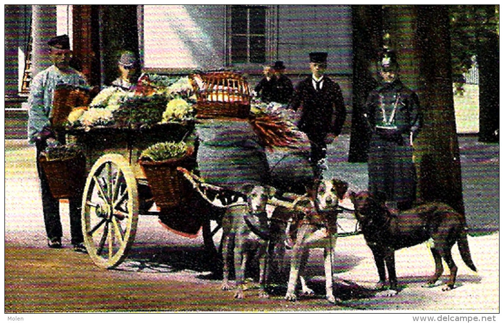 HONDENKAR ‘S GRAVENHAGE ATTELAGE DE CHIEN LEGUMES VOITURE A CHIENS DEN HAAG LAITIERE DOG DRAWN CART MARCHE POLICE 1692 - Mercanti